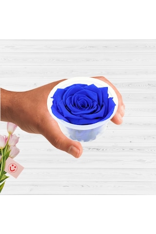 Şoklanmış Solmayan Gül. 5 CM - Lacivert