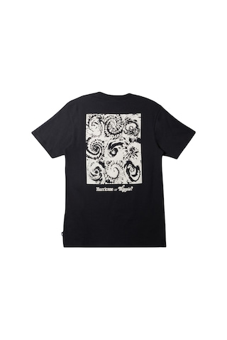 Quiksilver Aqyzt09540 Hurricane Or Hippie Moe Erkek Tişört 001