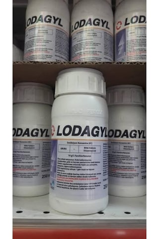 Lodagyl Kivi Hormonu Kivi Şişiren. Üzüm Bağ Hormonu 500 Ml Sitofex Kivi, Üzüm İlacı