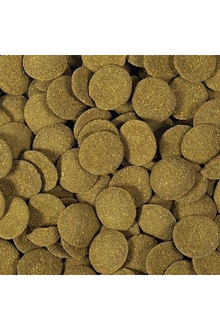 Hikari Mini Algae Wafers Sinking 22 G