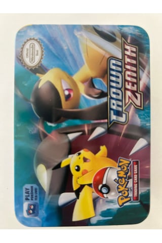 Pokemon Oyun Kartı