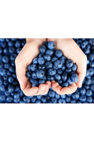 Yaban Mersini Tohumu Blueberry Tohumu 25 Adet Tohum
