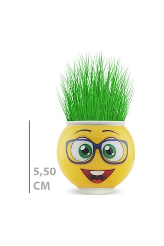 Konyax Çim Adam Saksı Emoji Figürlü 1 Adet