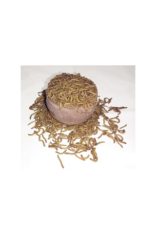 Exolive Un Kurdu 2500'lü 250 G