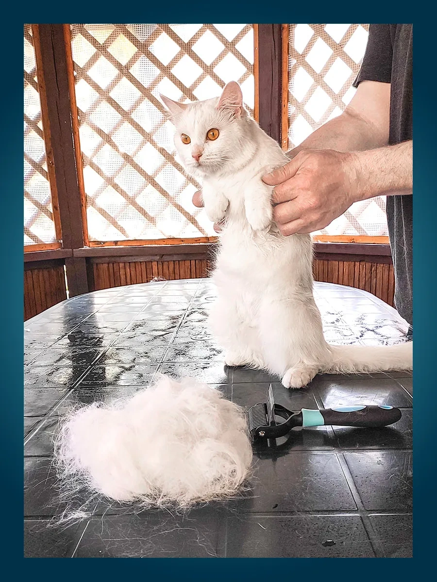 Misterbully Kediler İçin Uzun Tüylü Tarama Tarağı, Tarak 166031878