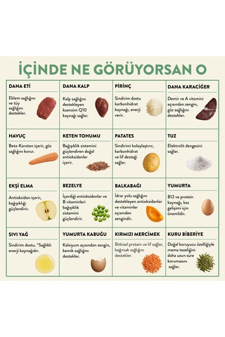 Kito Kuzu Etli Mini Irk Yetişkin Köpek Maması 2500 G + Kito Fresh Dana Etli Köpek Yemeği 6'lı