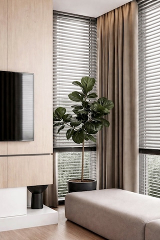 N. Luxury Açık Gri 50mm %100 Gerçek Ahşap Jaluzi Perde Redüktörlü Zincir Mekanizmalı Ofis/ev Tüm Mekanlar Açık Gri