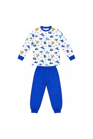 Ertaş Trend Store Erkek Çocuk Premium Penye Dinozor Desenli Uzun Kollu Pijama Takımı 2-11 Yaş - Mavi Çok Renkli