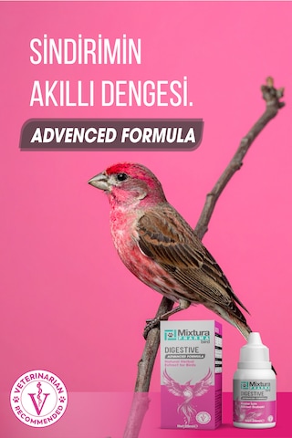 Mixtura Pharma Bird Dıgestıve
