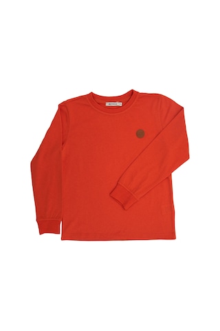 Erkek Çocuk Uzun Kollu Orange Tshirt - Reborn