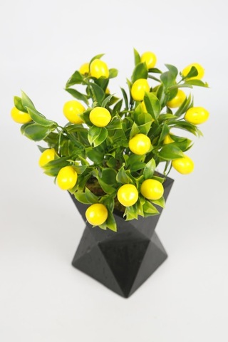 Siyah Beton Saksıda Limon Ağacı Yapay Ağaç Vazoda Yapay Bitki Kahverengi