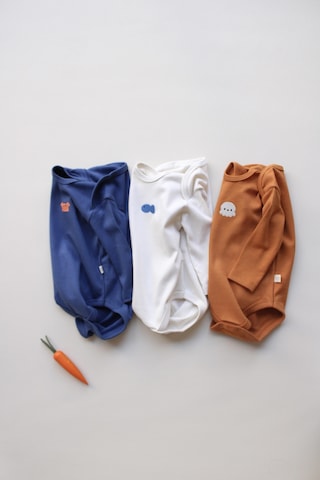 3lü Nakışlı Çıt Çıtlı Uzun Kollu Body Zıbın Set Model 4 Tarçın