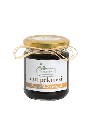 Immunflex Zencefilli Zerdeçallı Dut Pekmezi 220 G