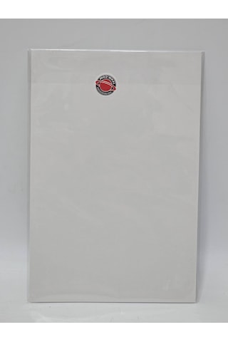 Rogue The Savage Land 1 2nd Printing A İngilizce Çizgi Roman