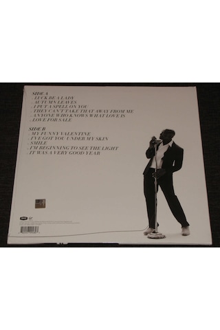 Seal - Standards - 33 LP Albüm ! Ambalajlı