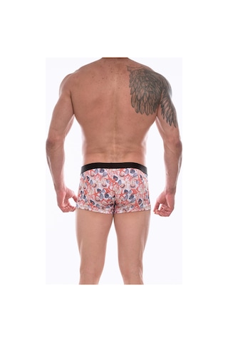 Erkek Çok Renkli Fantezi Giyim Desenli Boxer Hf072212