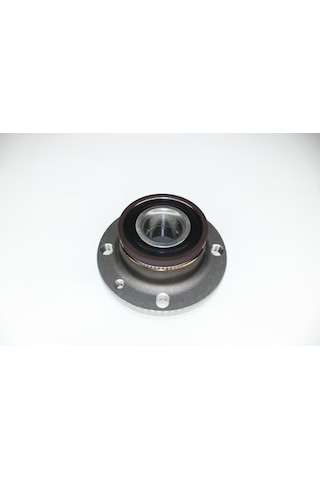 Arka Teker Poryası Rulmanlı Doblo-tempra-marea-palıo-sıena-punto-fıorıno-lınea Abs Li 30x117x61.7-183203