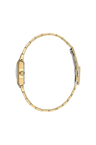 Daniel Klein Dk.1.14161-2 Premium Kadın Kol Saati Diğer