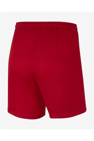 Nike Dri-FIT Park III Kadın Şort