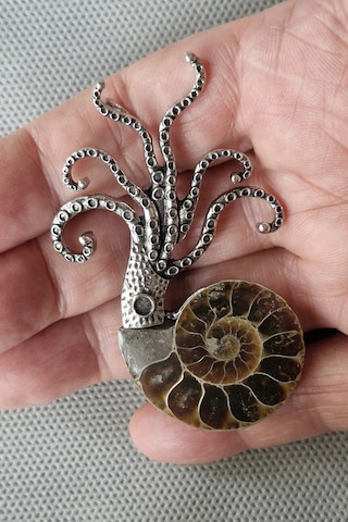 Gerçek Amonit Fosili Benzersiz Broş Br10-9 Kahverengi