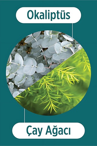 Selesta Life Okaliptüs Ve Çay Ağacı Bitki Özlü Kepek Karşıtı Saç Toniği Tüm Saç Tipleri İçin Tonik 200 Ml