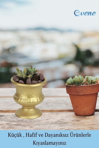 Kaktüs Saksısı Dekoratif Saksı Model 14 - Altın