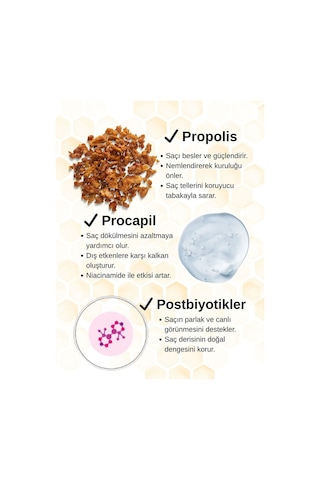 Kuru Ve Hassas Saçlar İçin Besleyici Onarıcı Propolis Procapil Şampuan