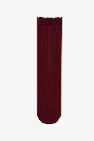 Penti Kız Çocuk Bordo Preppy Sweetie Fiyonk Desenli Pamuklu Pantolon Çorap