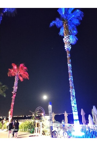 Palmiye Ağaç Aydınlatma Işık Boyama Led 35Cm Diğer