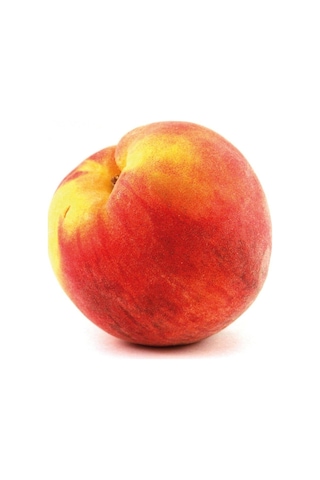 Tüplü Tam Bodur Yöresel Bursa Yarma Şeftali Fidanı