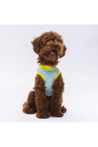 Pawstar Mint Sunrise Kedi Köpek Tişörtü Kedi Köpek Kıyafeti