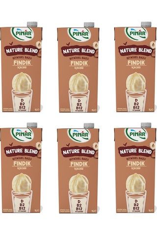 Pınar Nature Blend Bitkisel Bazlı Fındık İçeceği 1 Lt X 6 Adet