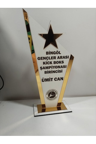 Plaket Karete/boks/judo/muay Thai/kick Boks Turnuvaları Altın