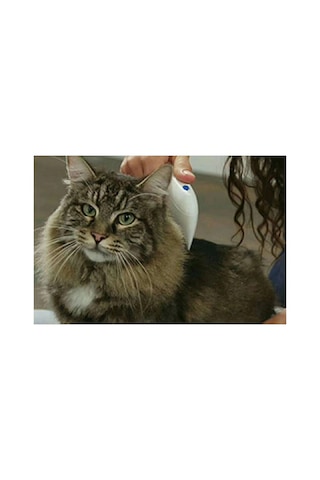 Fırça & Tarak Flea Doctor Pet Hayvanlar İçin Haşere Öldürücü Pilli Pire Tarağı