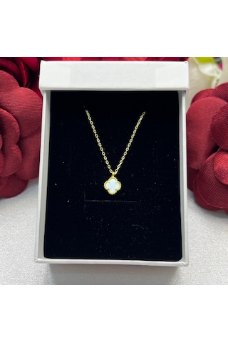 Yonca Beyaz Taşlı Kadın Kolyesi 925 Ayar Gümüş Altın Kaplama 6 Mm Altın