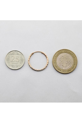 Yıldız Kalemli Pembe Altın Halka Küpe Çapı: 2.2 Cm Pembe Altın