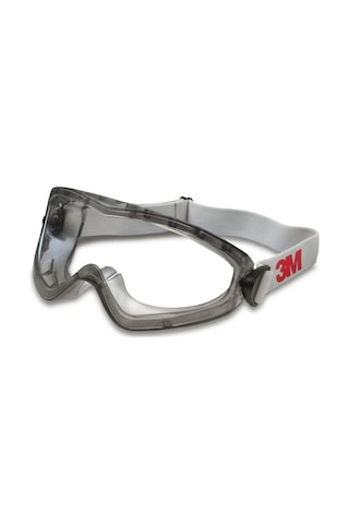 3M 2890 Şeffaf Goggle Gözlük