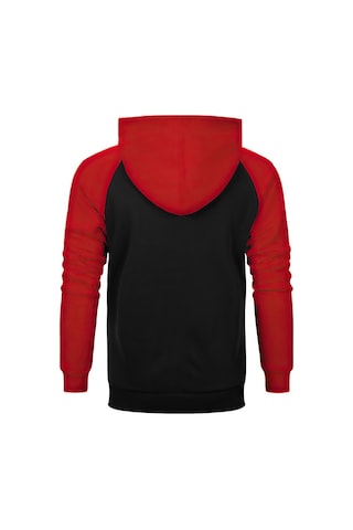 Redbull Gold Kırmızı Reglan Kol Kapşonlu Sweatshirt Kırmızı