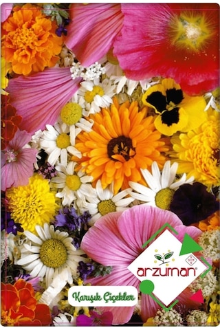 Karışık Çiçekler Tohumu 50 Adet 810 Çeşit Çiçek 4 Al 3 Öde