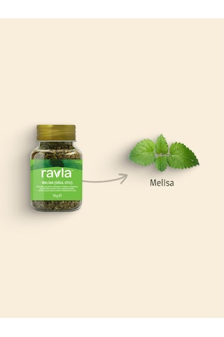 Ravla Melisa Oğul Otu - 15g