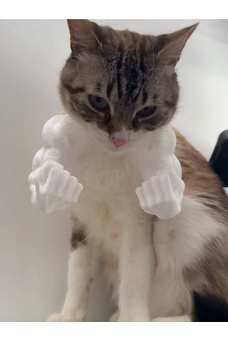 Kedi İçin Hulk Kolları Aksesuarı Beyaz Komik Kedi Aksesuarı