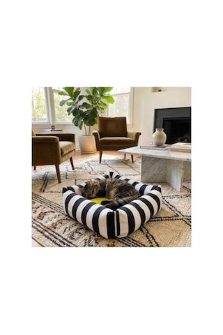 Lüks Kare Zebra Desen Kedi Köpek Yatağı, Sarı