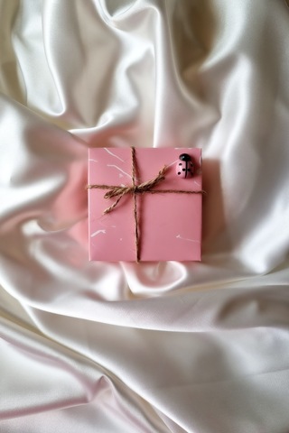 Taşlı Kutup Yıldızı Şık Model Çelik Kolye