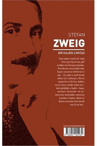 Bir Kalbin Çöküşü - Stefan Zweig - Maviçatı Yayınları