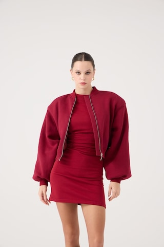 Holly Lolly Crop Kesim Vatkalı Parker Bomber Ceket Bordo