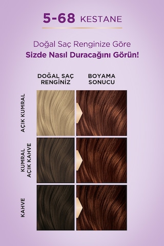 Palette Göz Alıcı Renkler Krem Saç Boyası 5 - 68 Kestane