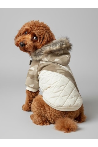Creamy Camo Kamuflaj Desenli Krem Rengi Köpek Montu Kışlık Ceket