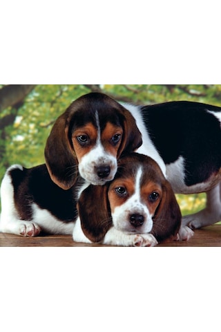 Clementoni 500 Parça Puzzle Close Together