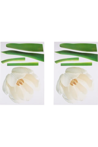 Duvar Süsü Sticker 2 Adet Çiçekli Şeffaf Filmli Pvc 70x50x0,5cm