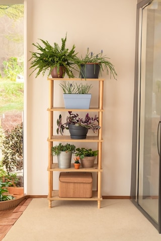 Concept 4 Raflı Kitaplık Banyo Mutfak Dolabı Balkon Organizer Ofis Düzenleyici Ahşap Nature